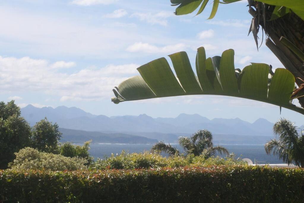 Seaviews From Arrowood Apartment Plettenberg Bay Bagian luar foto